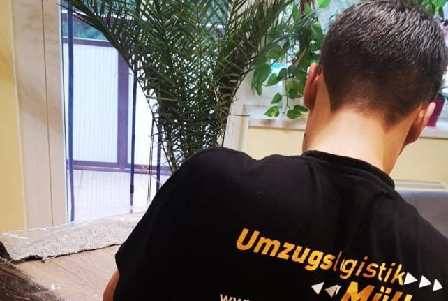 Laborumzug Pulsnitz stressfrei umziehen 